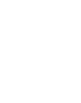 Zonkey